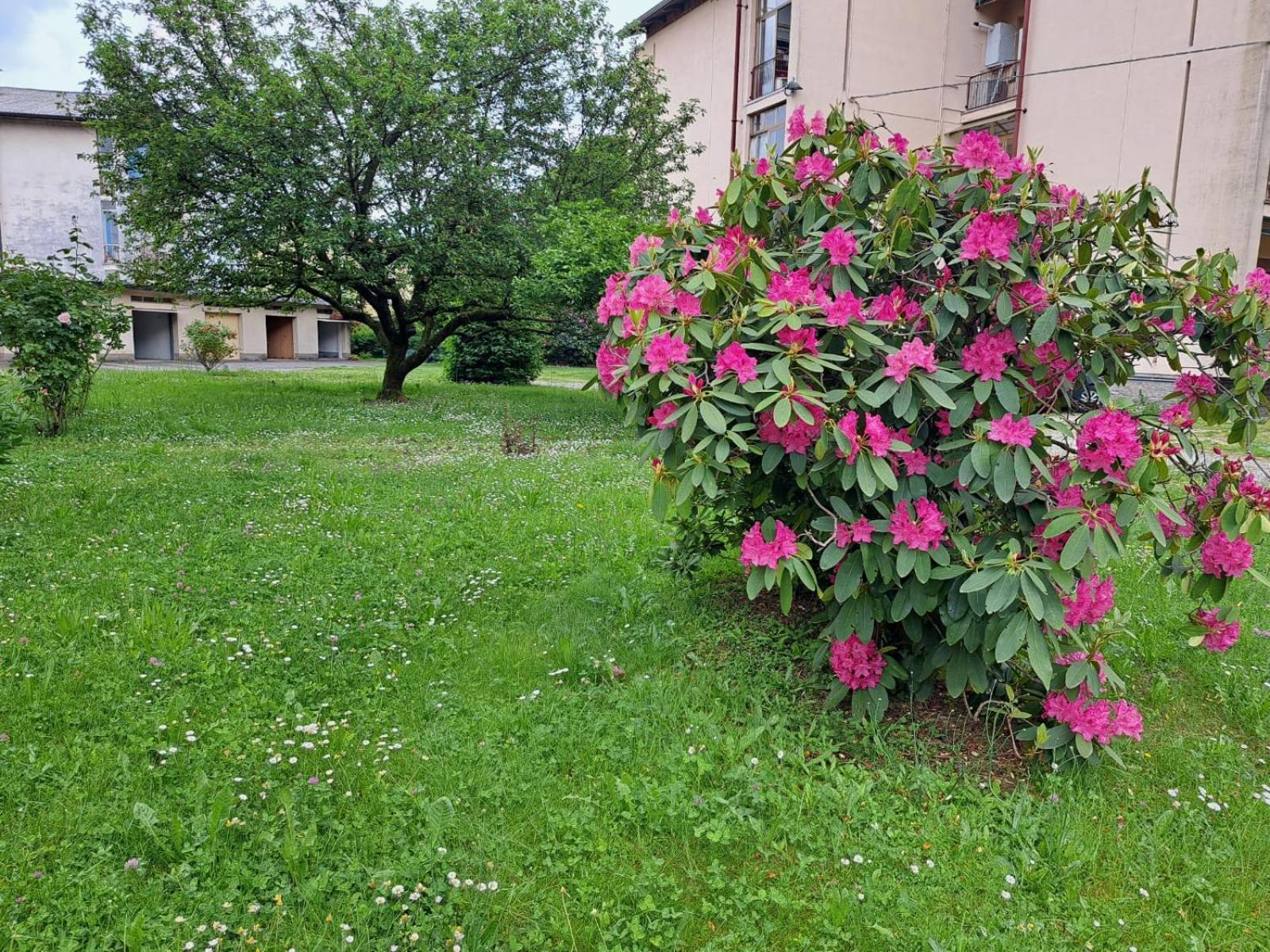 Seraval Valsesia Apartment Serravalle Sesia Esterno foto